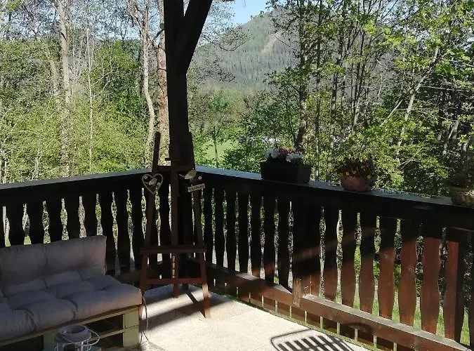 Dana Steinhaus am Semmering